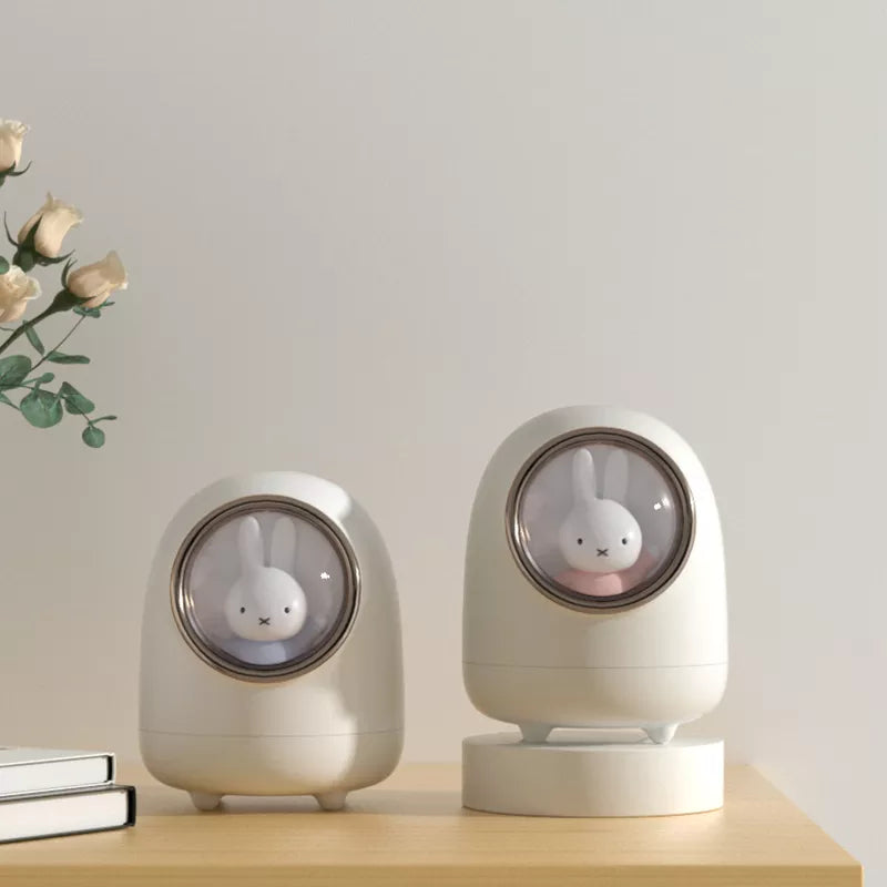 Mini Temperature Humidifier