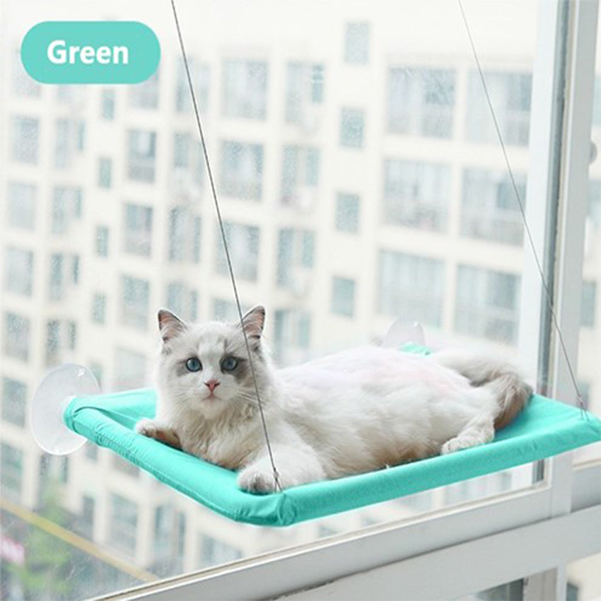 Indoor Hanging Glass Pet Hammock