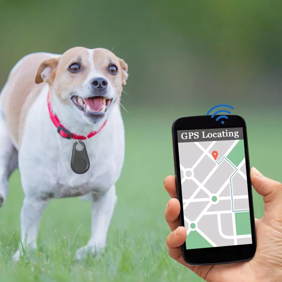 Smart Wireless Pet Tracker