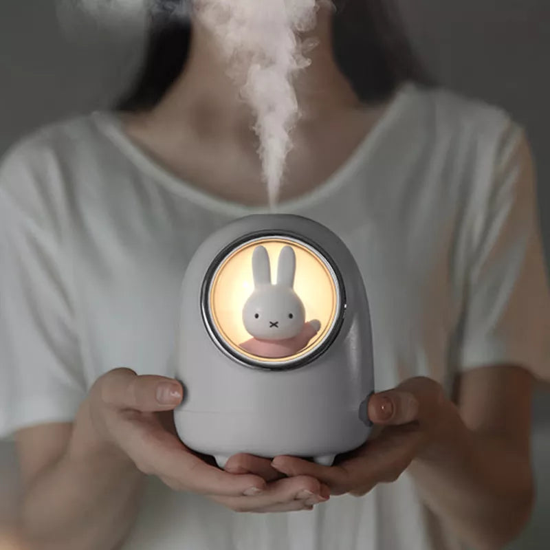 Mini Temperature Humidifier