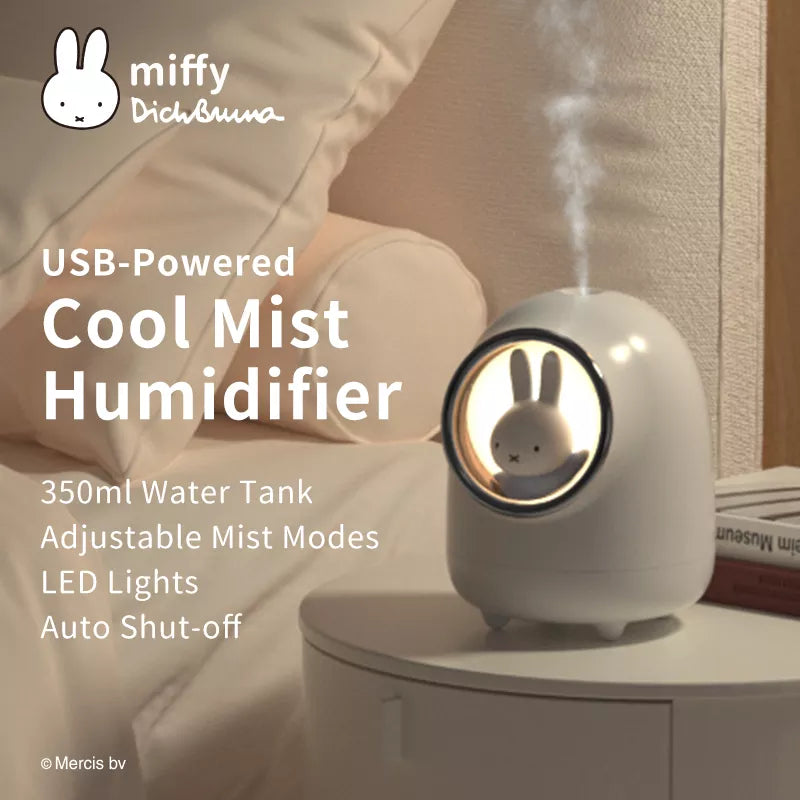 Mini Temperature Humidifier