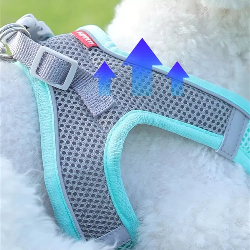 Lightning Bolt Small Harness